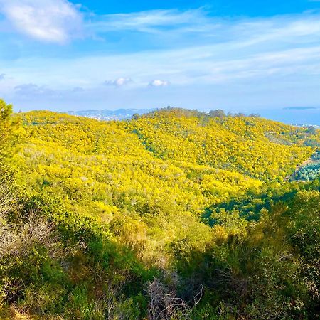 Studio Promenade Des Anglais 尼斯 外观 照片